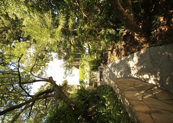 别墅 Villa Korcula 科尔丘拉