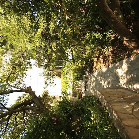 别墅 Villa Korcula 科尔丘拉